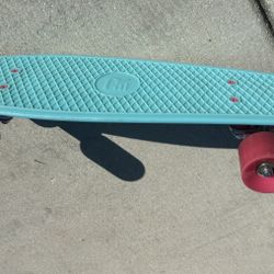 Skateboard Penny Board 