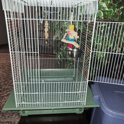 Bird Cage