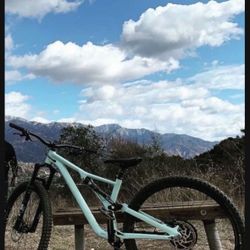 2021 Specialized Stumpjumper Alloy  (29er)