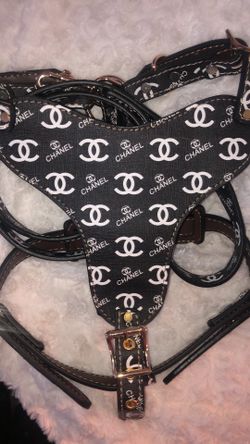 Dog Harness