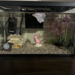 Fish Tank 