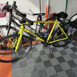 Men & Women Giant Bikes