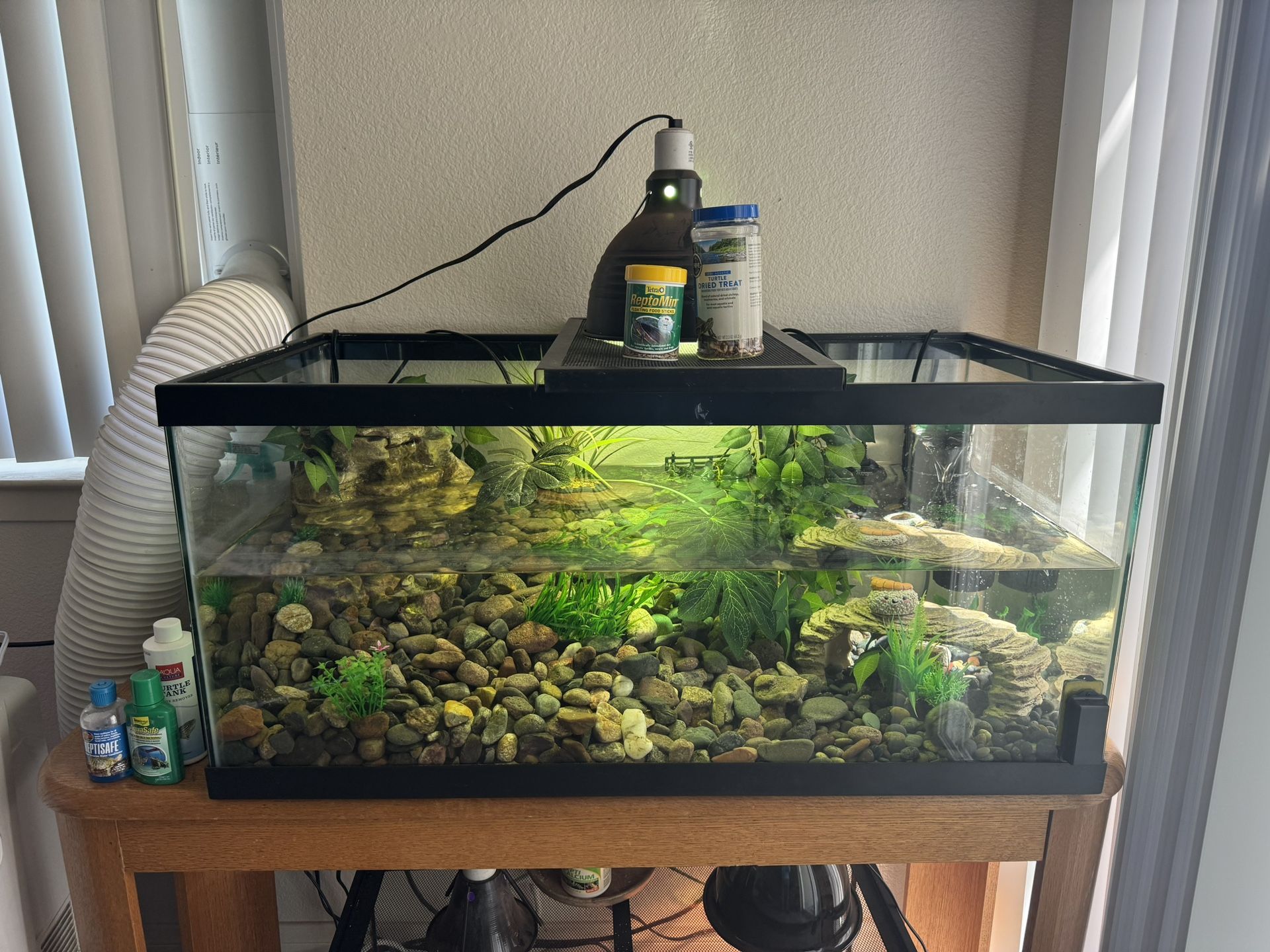 Turtle tank