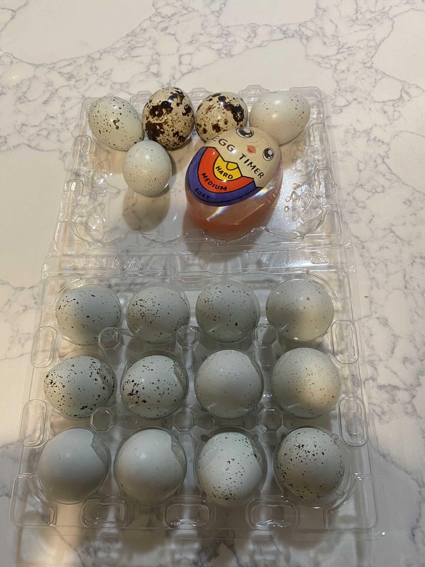 Quail Eggs