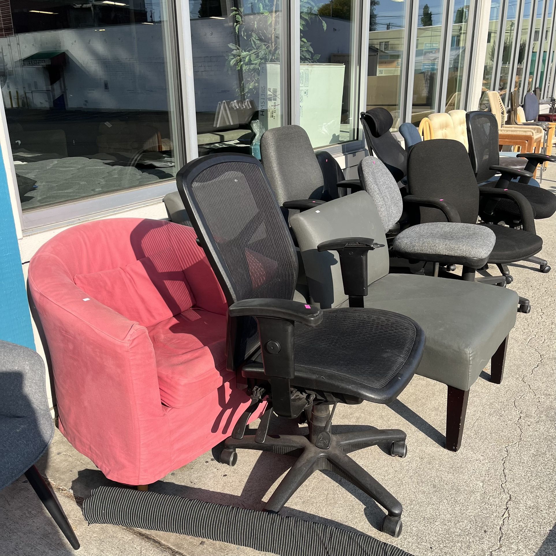 Chairs Office Chairs Dining Chairs (in Store) 