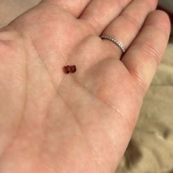 Heart Shaped Garnet Gemstones