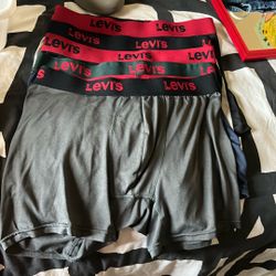 5 Levi’s Mens Briefs 