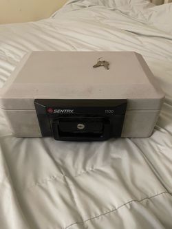 Sentry 1100 Safe