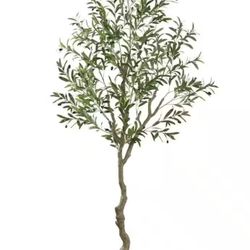 Realistic 7 ft. Artificial Olive Tree in Black Pot for Indoor or Outdoor use.