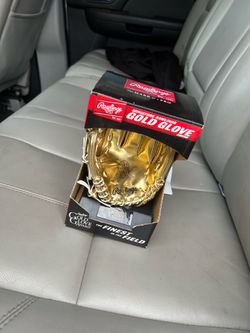 Rawlins Gold Glove Award