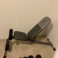 Weight Bench