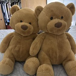 Find A New Home For Those Lovely Bears.🥰🥰