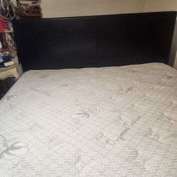 Cama kig