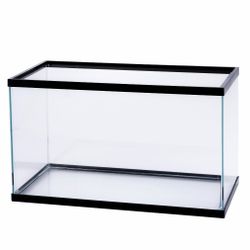 10 Gallon Fish Tank