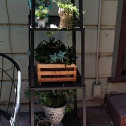 Metal Plant Stand 