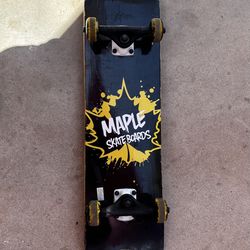 Skate board