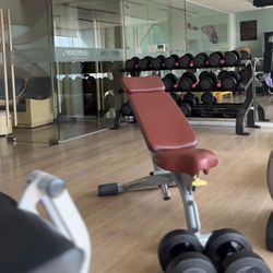 Technogym Weight Bench 