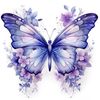 🦋 