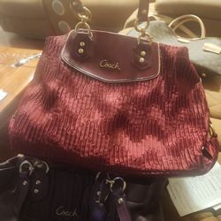 Coach Bags 