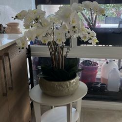 Gorgeous White Orchid Arrangement
