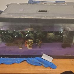 Fish Tank For Sale 20gl 