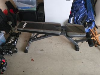 Workout Bench