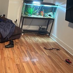 Fish Tank And Stand