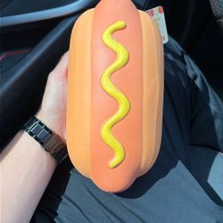 Hot Dog Squishy