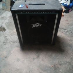 Peavey Speaker 