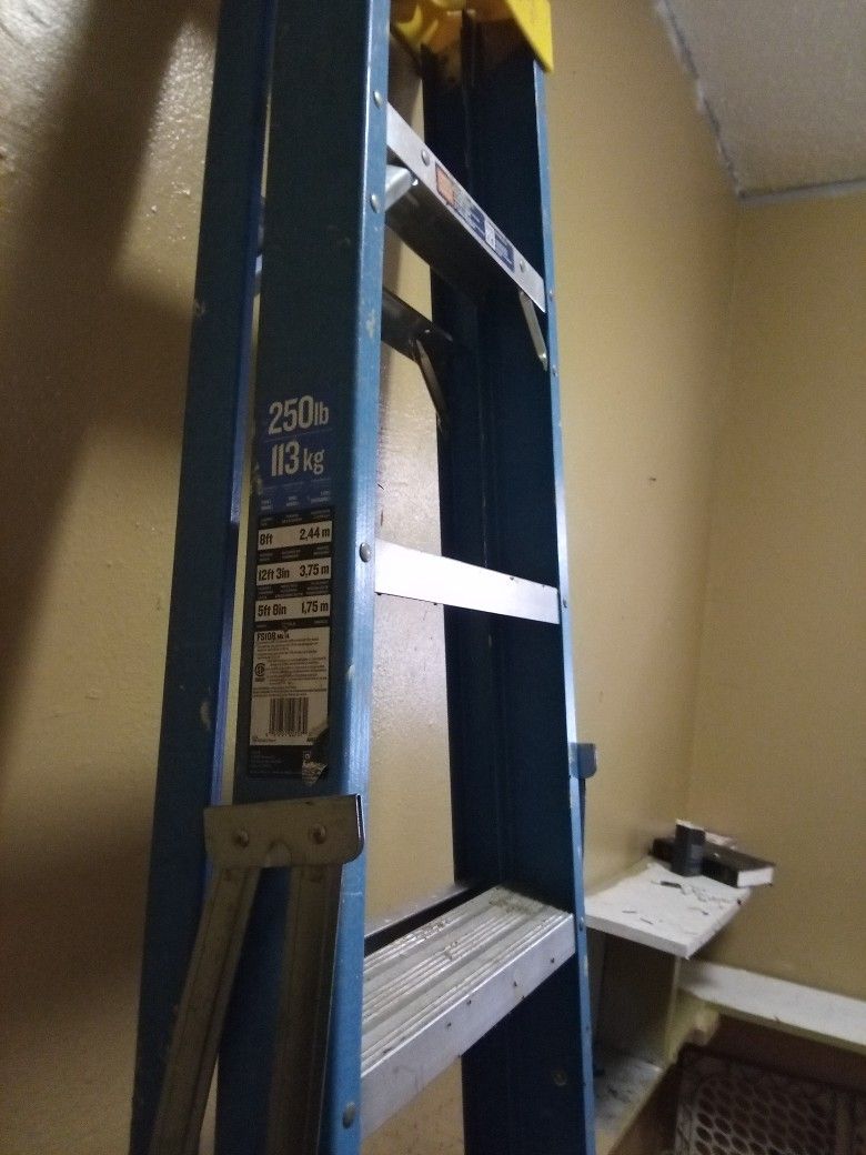 12ft Ladder