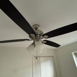 Ceiling Fan 
