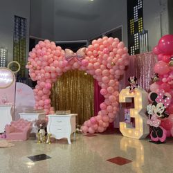 Minnie Mouse Decorations 