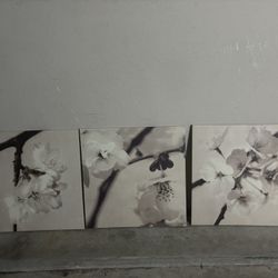 Beautiful Photography Wall Pieces 