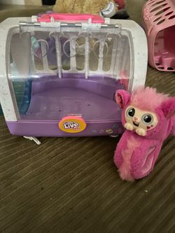 Stuffed animals in cages $5 each or $10 for all 3