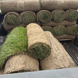 Fresh Sod 