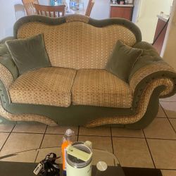 two Cozy Couches