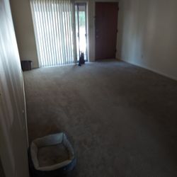 Just Relocated 