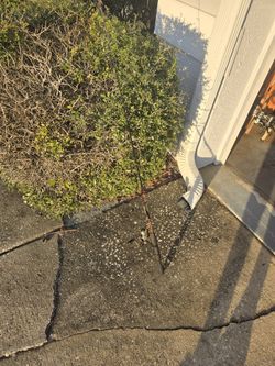 Abu Garcia  Reel With Ultra Light Ugly Stick