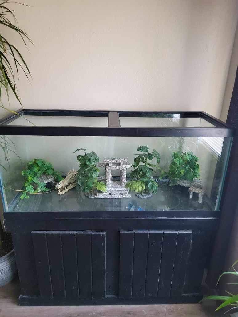 75 Gallon Tank