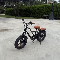 2 seater Ridstar ebike