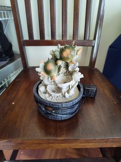 Small Turtle Light Up Fountain Five Bucks You Can Put Water In It