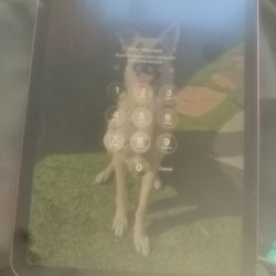 Ipad  A16 10th Generation 256gb With Accessories 