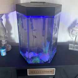Fish Tank With All Accessories And Fish. 20 Gallon