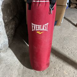 Everlast Punching Bag 80 Pounds 