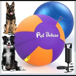 Pet deluxe large interactive dog play ball with pump
