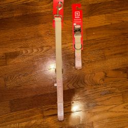 READY Collar And Leash