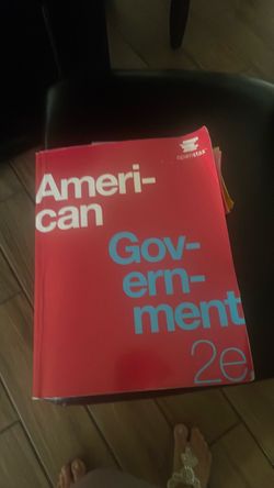 American government