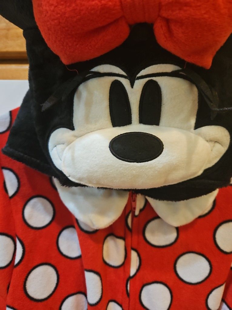 Mini Mouse Costume