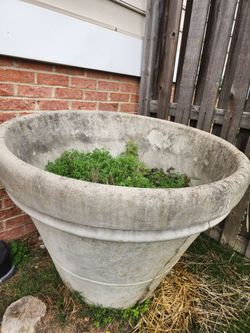 Large Concrete Planter
