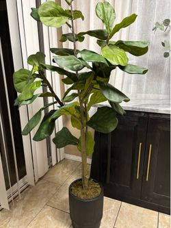 artificial decor plant